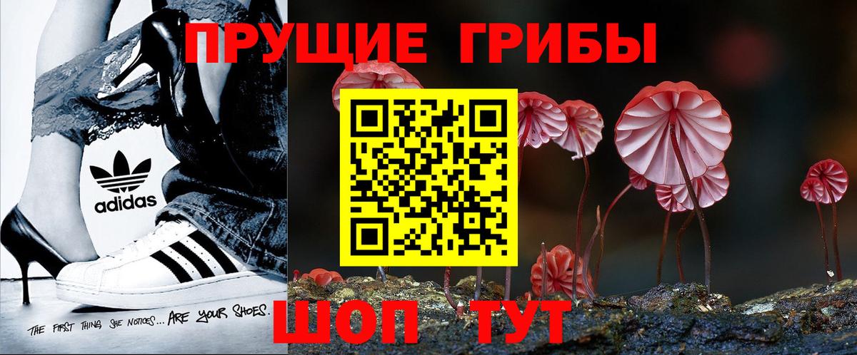 Псилоцибиновые грибы Psilocybe  Вход с VPN  Псилоцибиновые грибы прущие грибы  Гурьевск 
