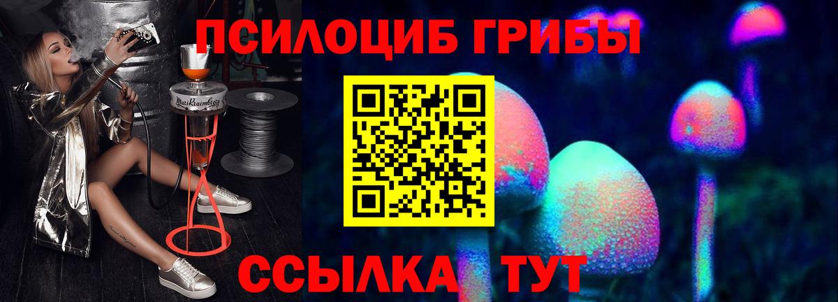 Галлюциногенные грибы Magic Shrooms Гурьевск