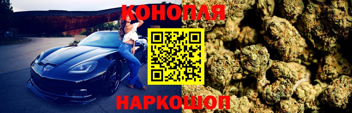Конопля OG Kush Гурьевск